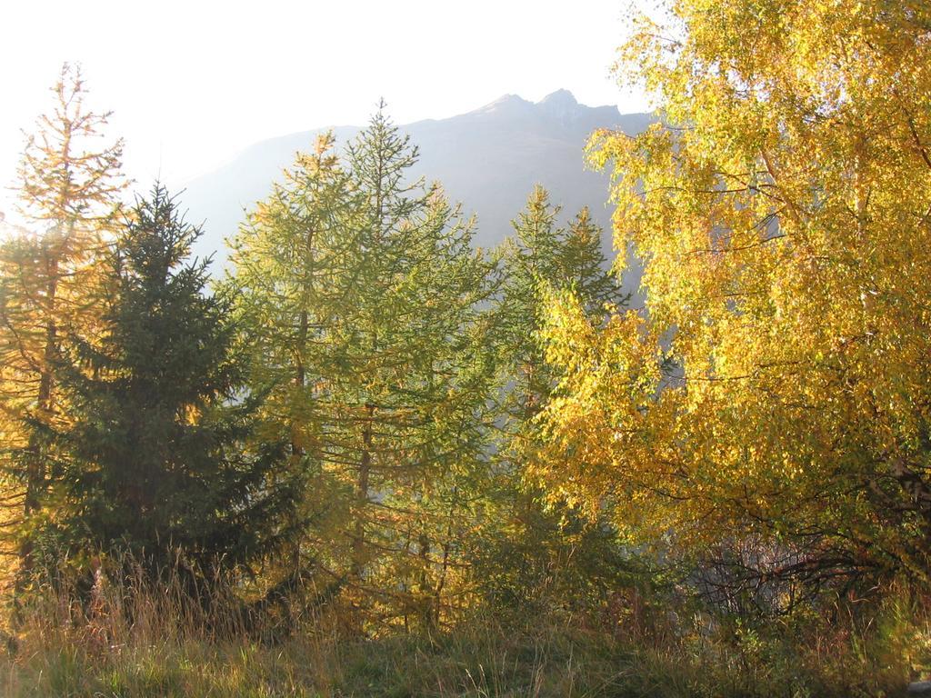 Baita La Jolie Bergere Ла-Саль Экстерьер фото