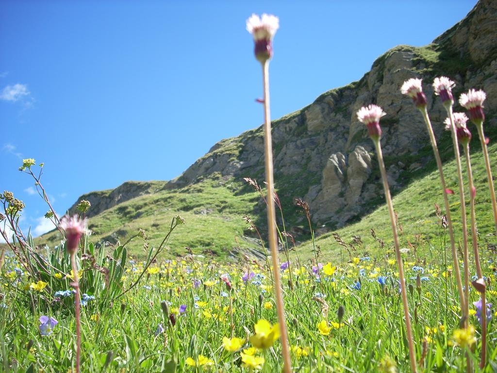 Baita La Jolie Bergere Ла-Саль Экстерьер фото